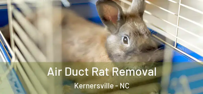 Air Duct Rat Removal Kernersville - NC