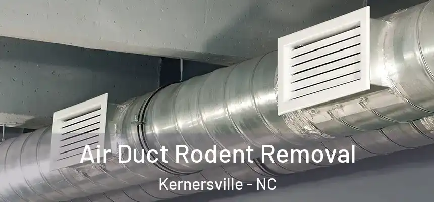  Air Duct Rodent Removal Kernersville - NC