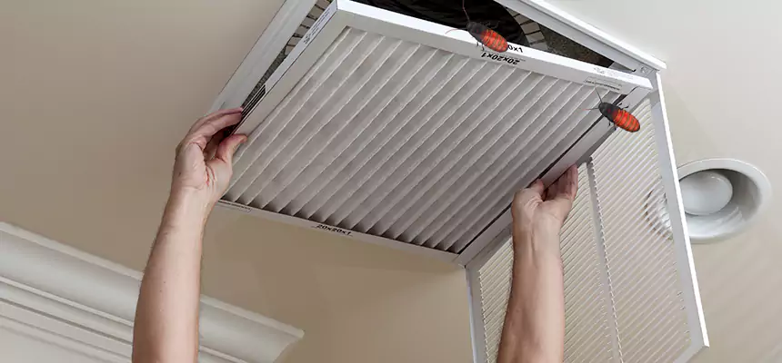 Our Insect Removal from Air Ducts Services in Kernersville, NC