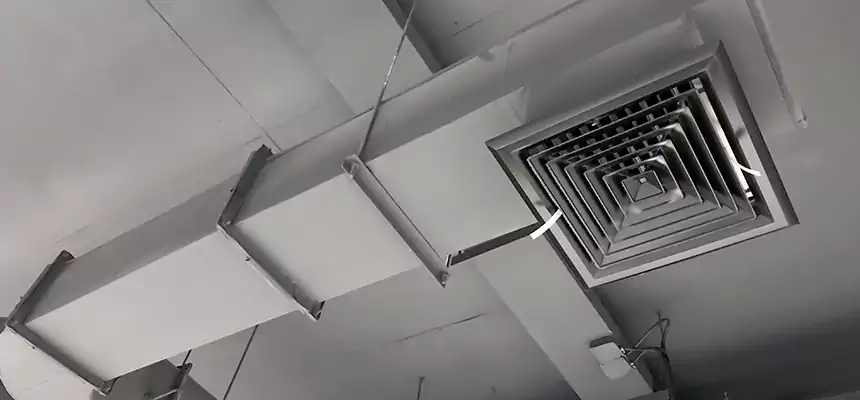 Our Pest Removal From Ducts Services in Kernersville, NC