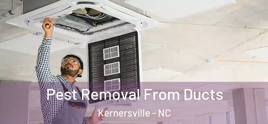 Pest Removal From Ducts Kernersville - NC