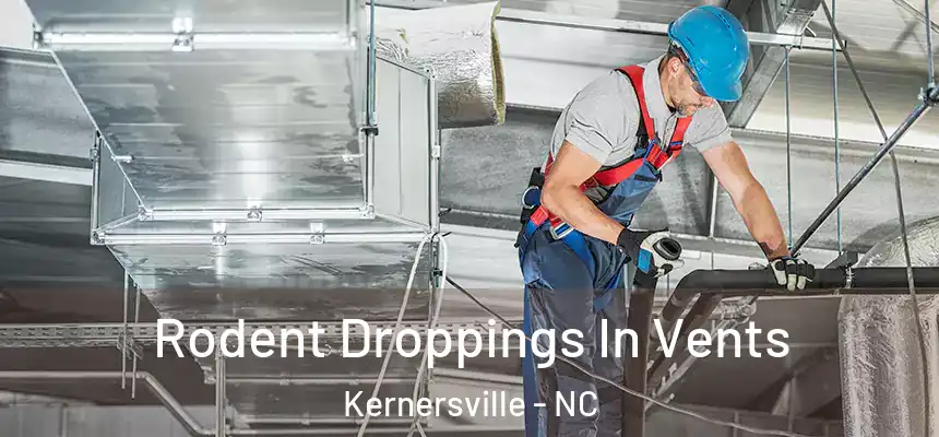 Rodent Droppings In Vents Kernersville - NC