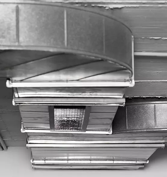 Professional Air Duct Pest Removal in Kernersville, NC