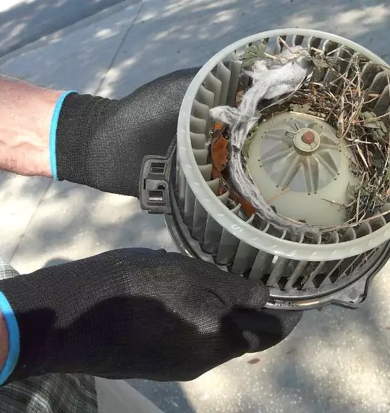 About Air Duct Rat Removal in Kernersville, NC