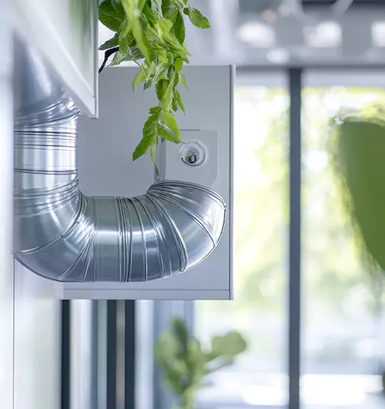 Professional Eco-Safe Dryer Vent Cleaning in Kernersville, NC