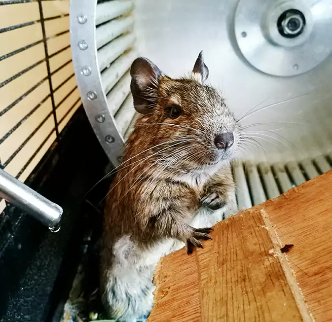 Why Homeowners & Businesses Trust Us Kernersville, NC